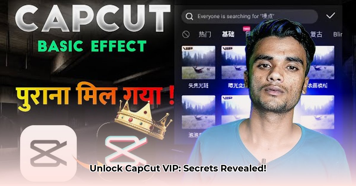 capcut-vip